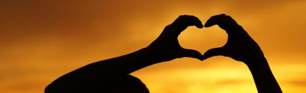 This image describes the aim of shared care. 